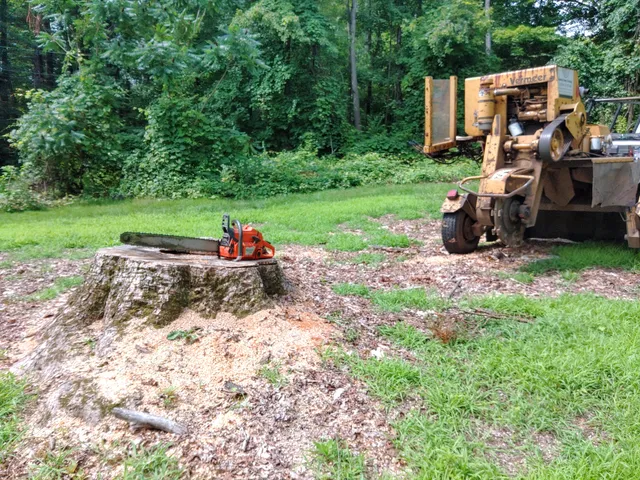 Hawkins Stump Grinding work photo