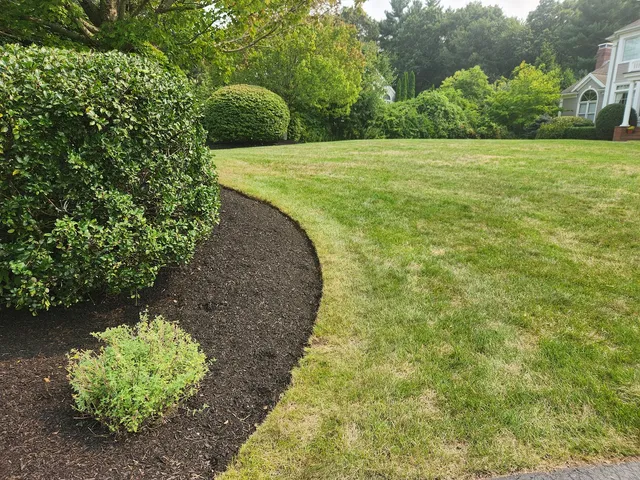 MW Guest Property Services work photo