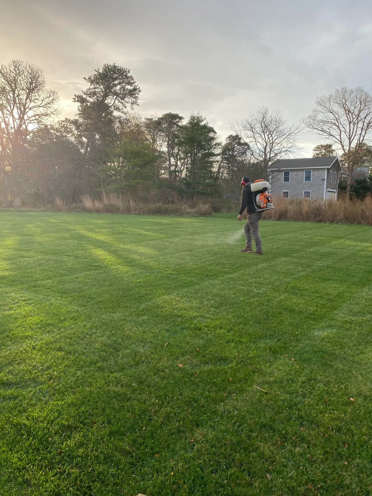 work photo from Google listing