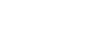 Professional Flooring logo