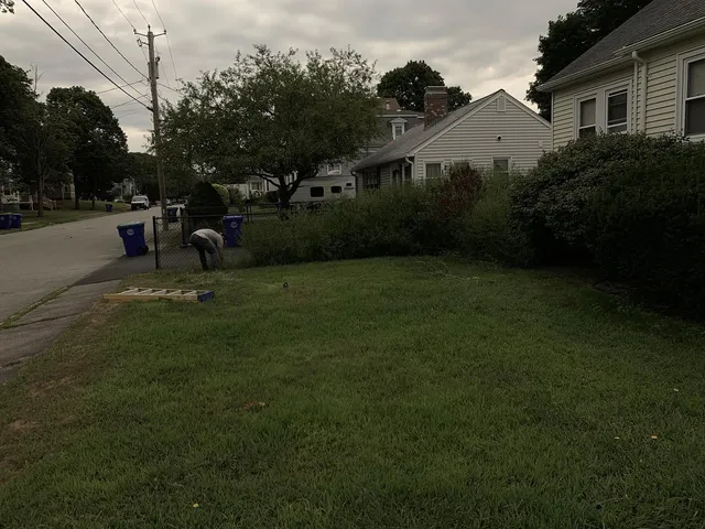 Mown corner lot at dusk