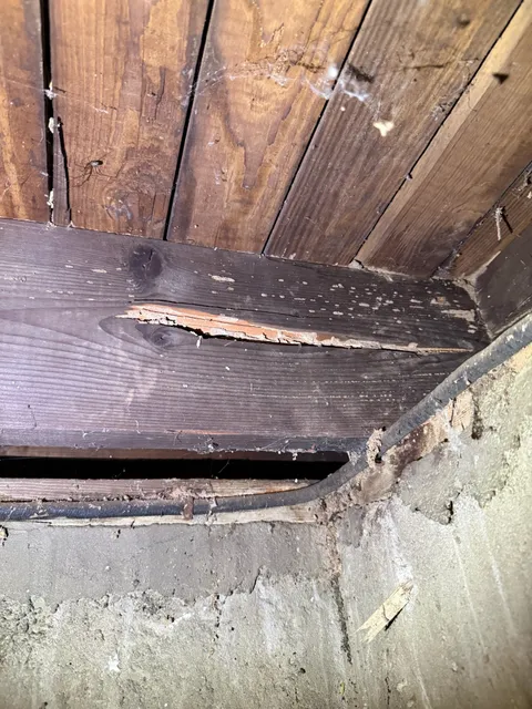 Exclusion inspection and timber gallery inspection