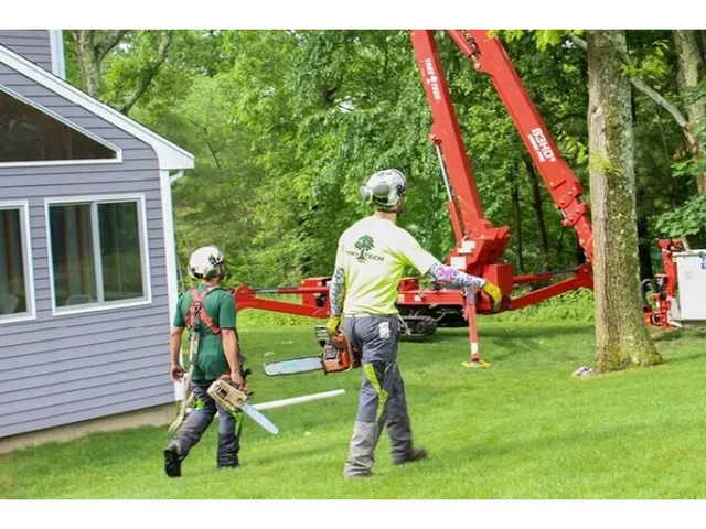 Tree Tech work photo