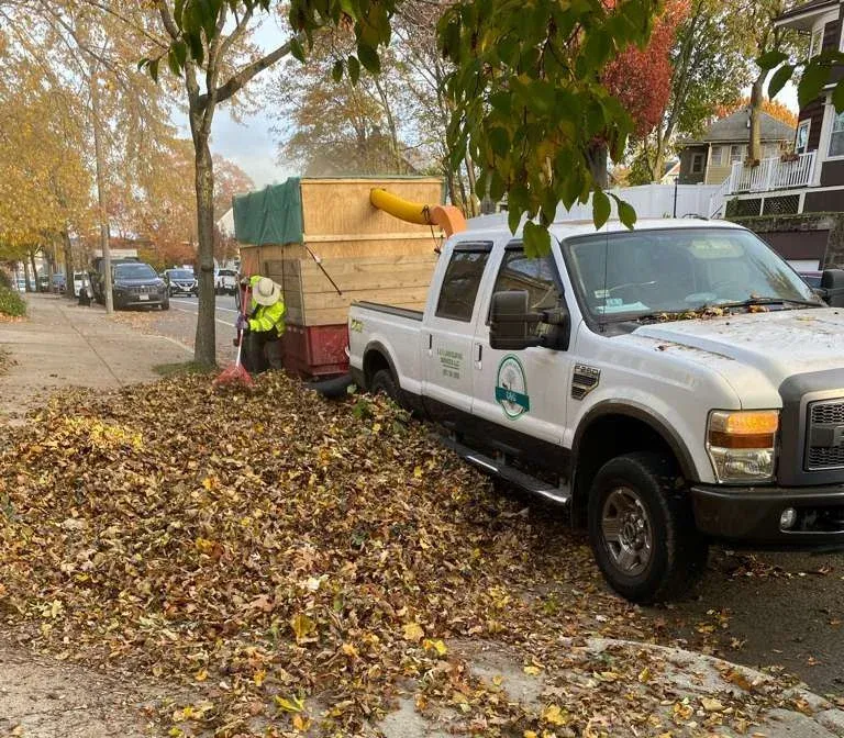 Professional Fall Cleanup Service in Boston, MA