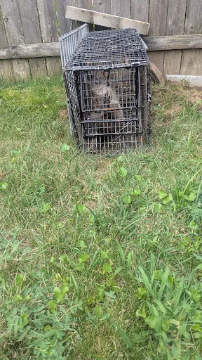 Review photo by Christine Vieira