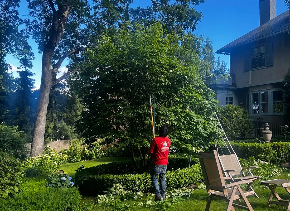 Service Tree Trimming_ copy_gallery
