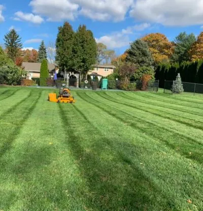 Grounds of Nature Landscaping Services