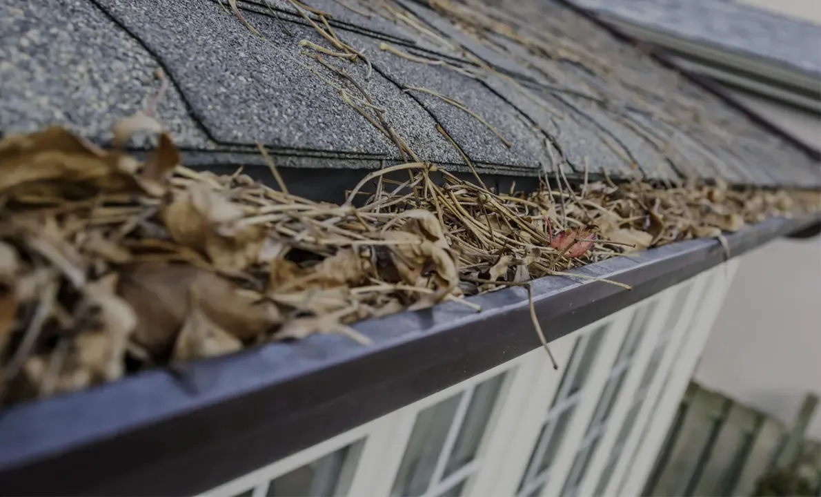 Gutter Cleaning