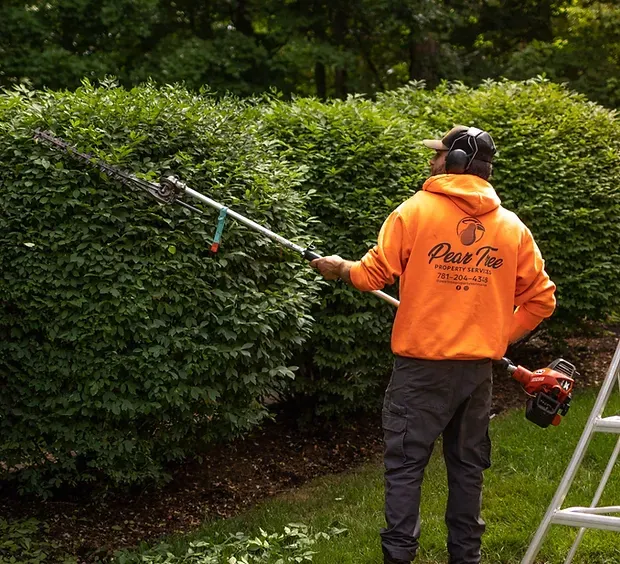 work photo from peartreepropertyservices.com