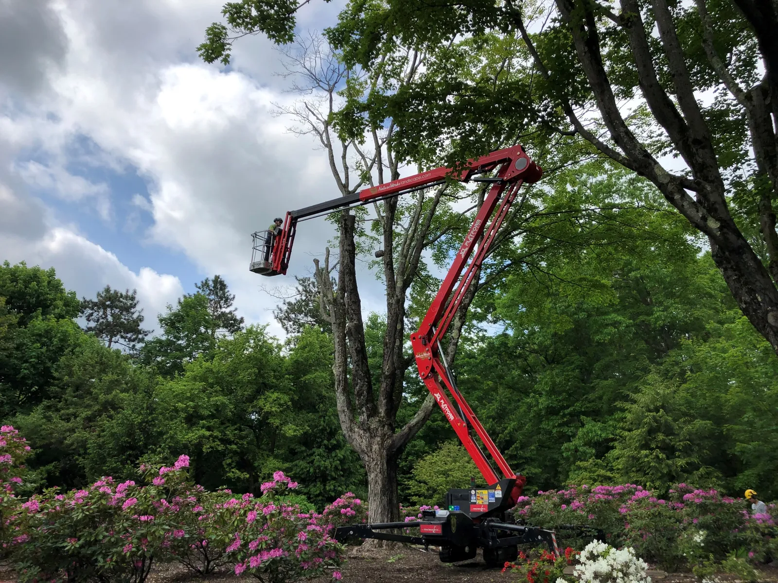 work photo from Google listing