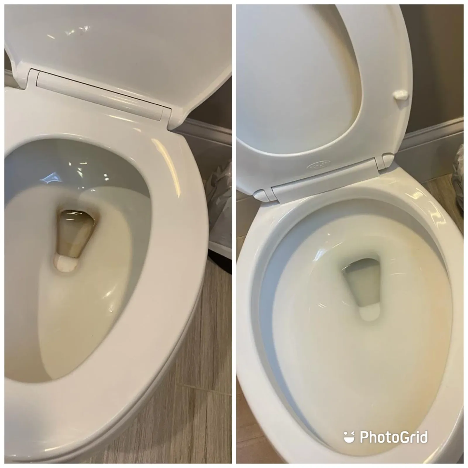 Thorough Toilet Cleaning