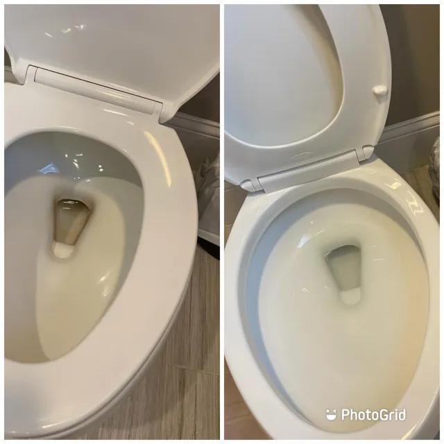 Thorough Toilet Cleaning