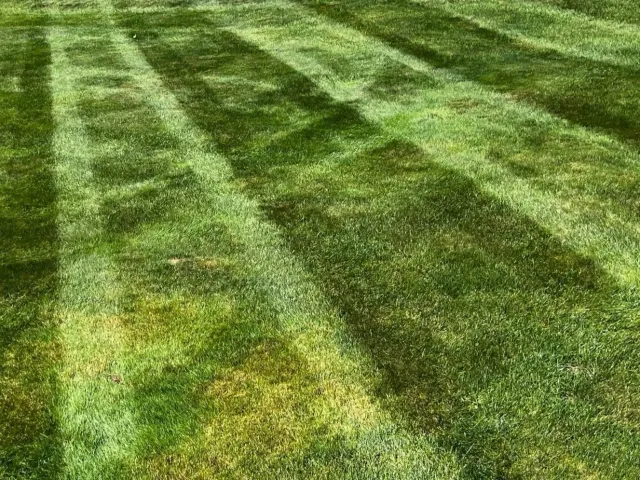 work photo from skelleylandscaping.com