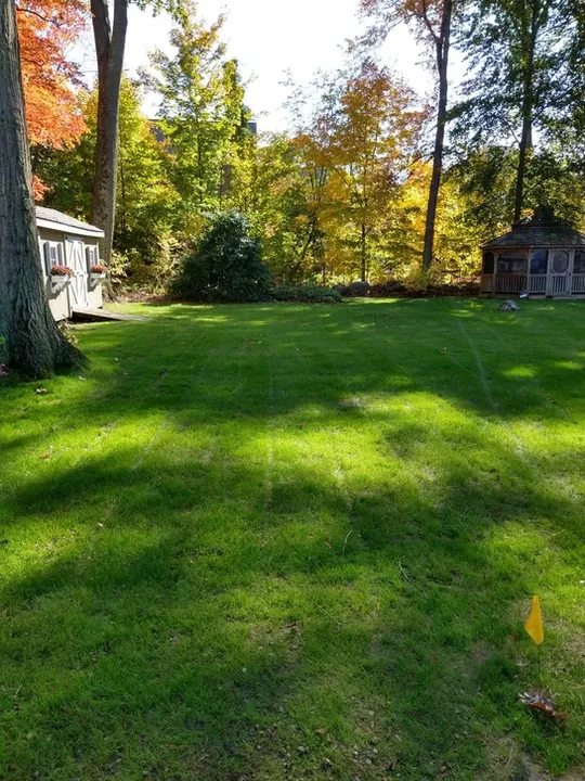 work photo from solutionlandscaping.net