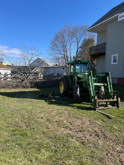 Gerry's Tree Service work photo