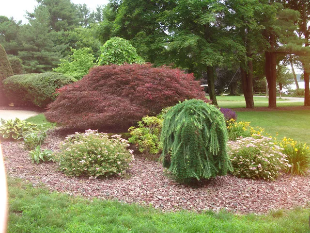 R. M. Cacciapaglia Landscape & Tree Co. researched project photo