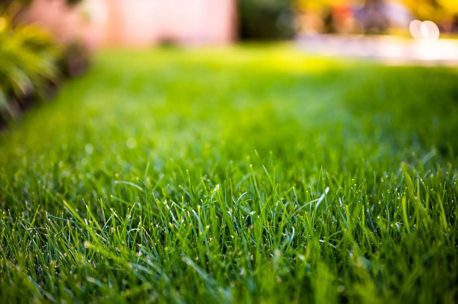 Pungitore Landscaping