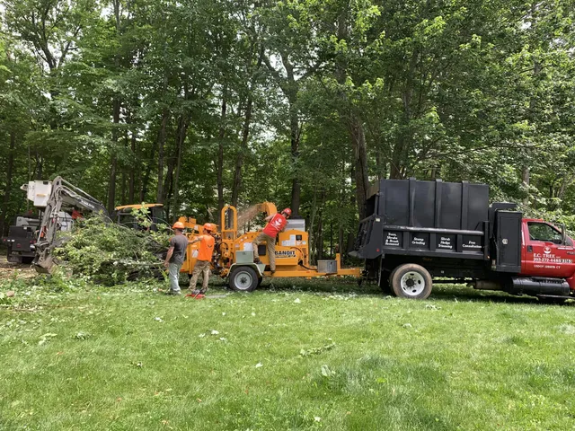 E.C. Tree LLC work photo