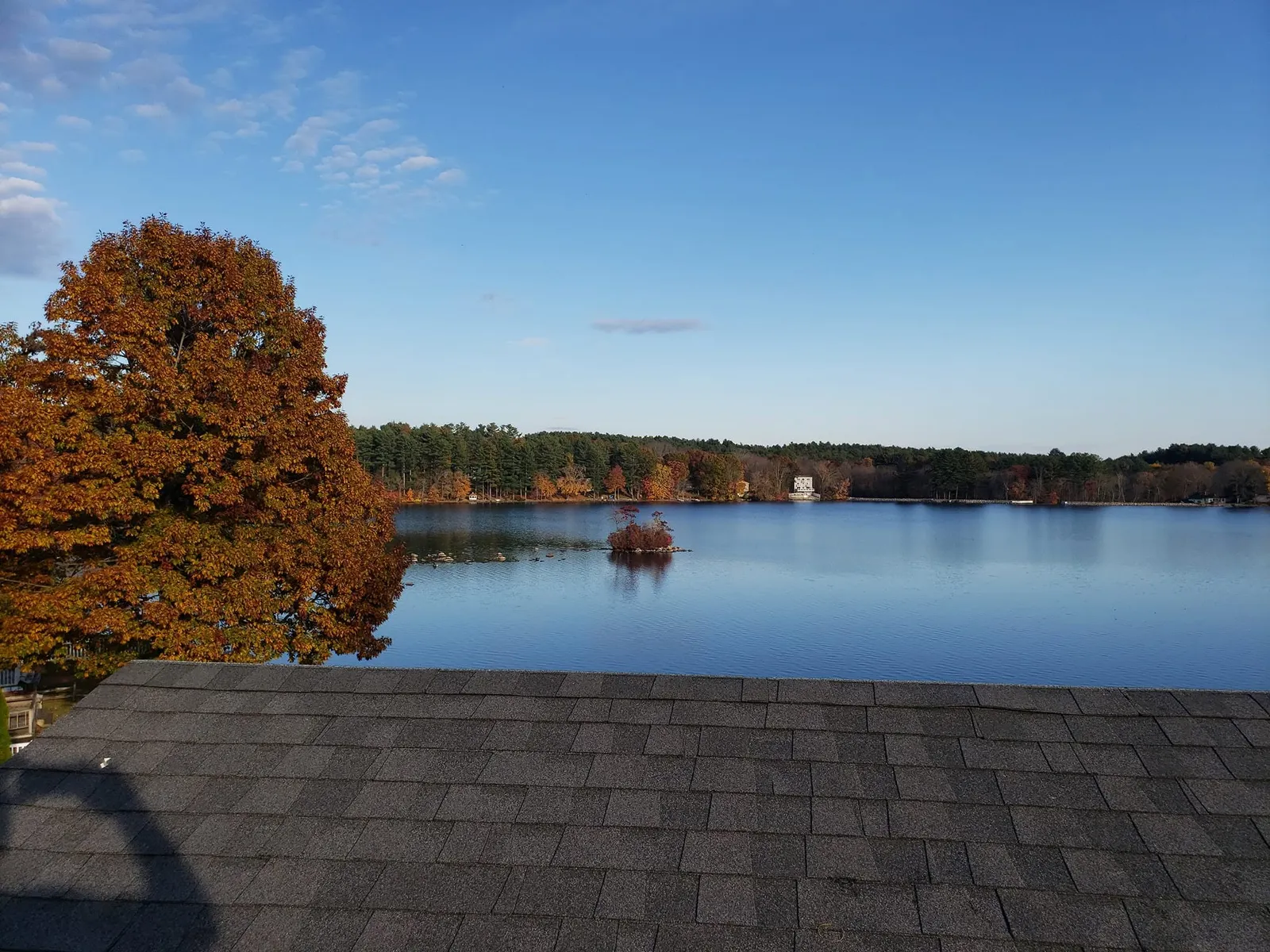 Autumn lakeside view with golden tree, calm blue water, and forested shoreline from residential deck