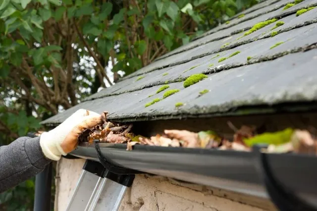 gutter-cleaning-bishopville.jpg