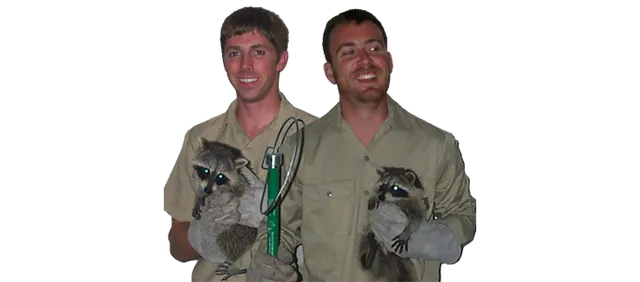 work photo from rhodeislandpestwildlife.com