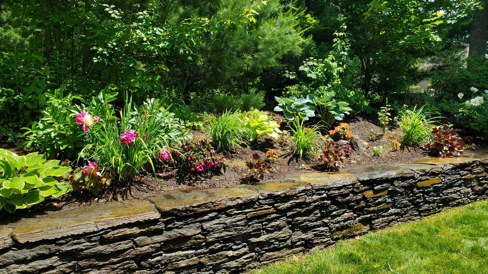 work photo from evolutionearthscapesllc.com