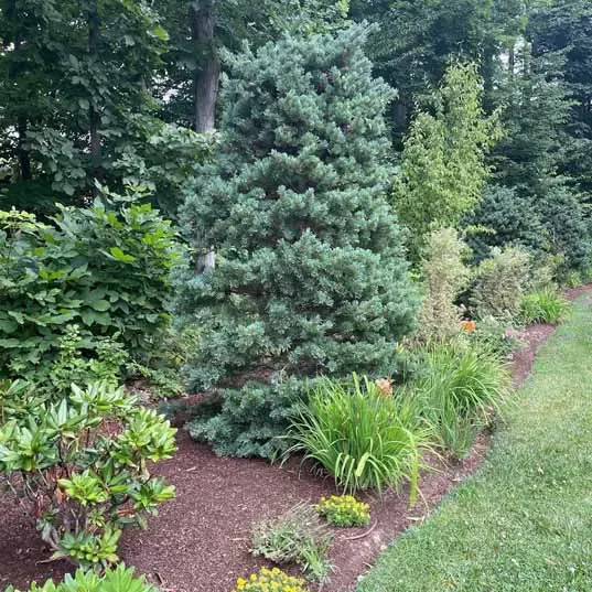 work photo from rockcrestgardens.com