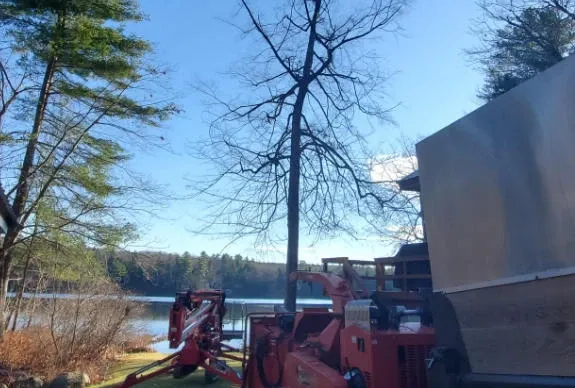 work photo from btbtreeservice.com