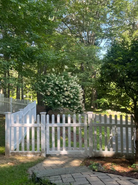 A white picket gate opens to a backyard garden with tall trees and white flowering shrubbery. A paved stone pathway leads into the garden and sunlight filters through green leaves.