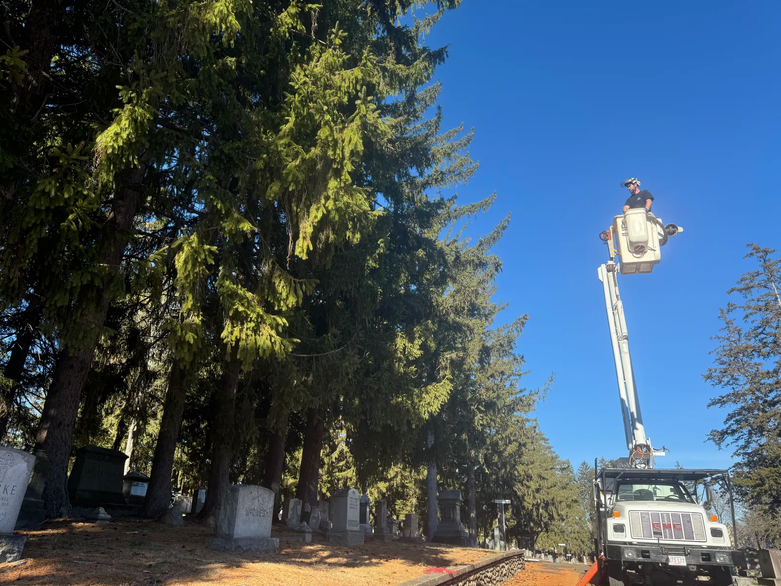 work photo from Google listing
