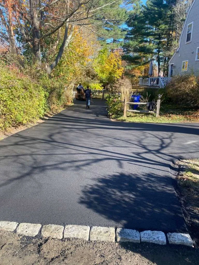 Asphalt road with curb and foliage
