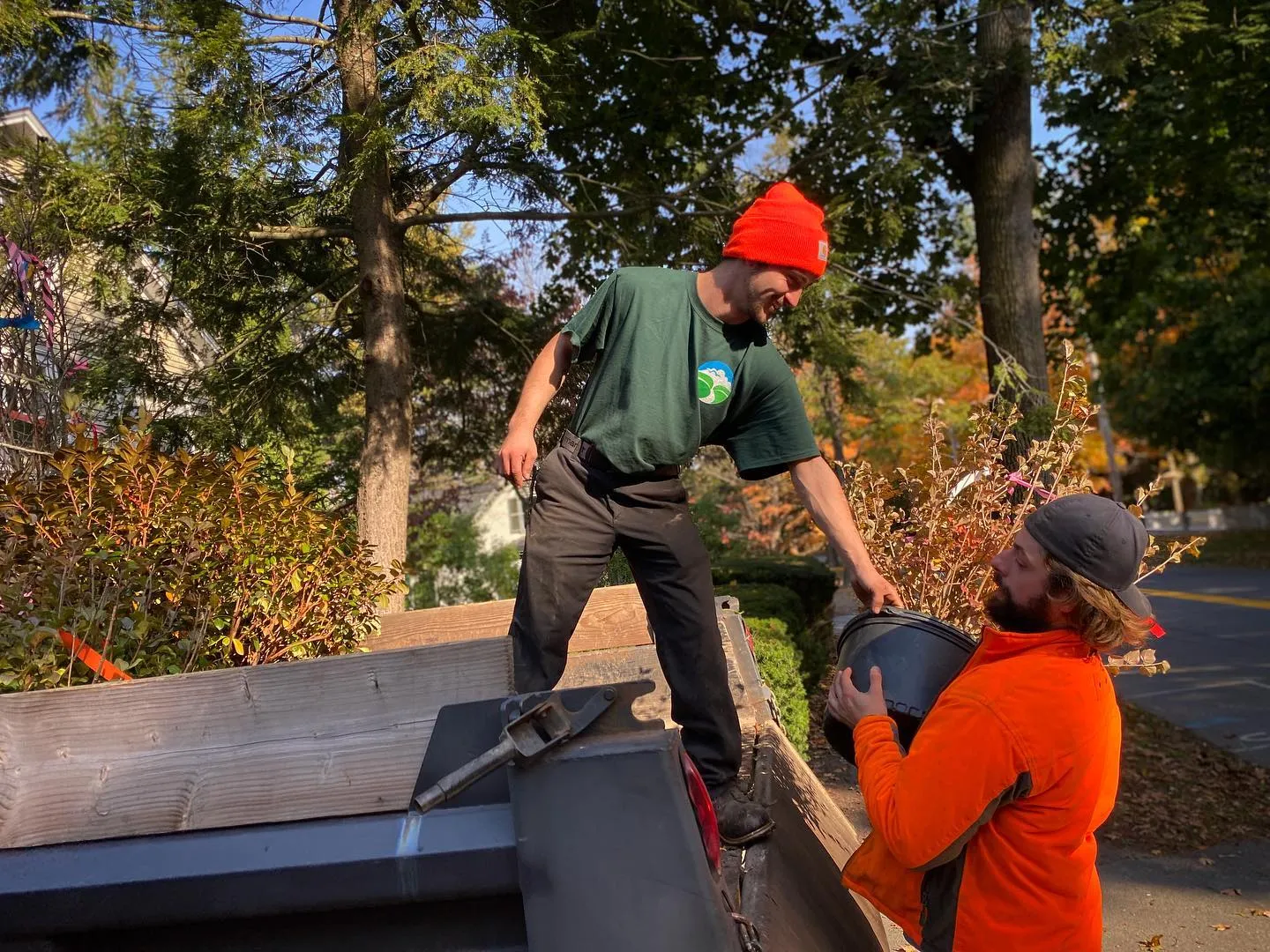 work photo from Google listing