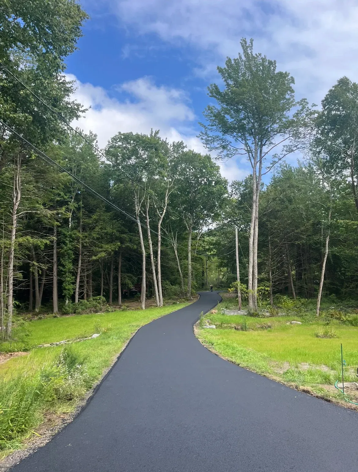 A road going through a forest with trees on both sides