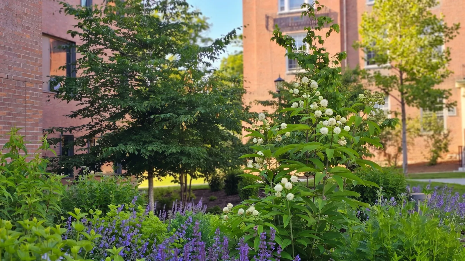 Orys is a Boston-based landscape and interior design studio offering design consultation across the U.S. and Canada, with full build services throughout New England.