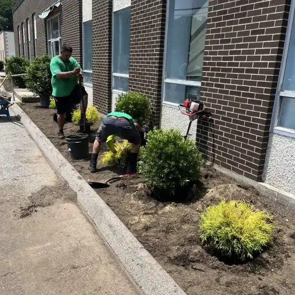 work photo from cutabovelandscapinginc.com
