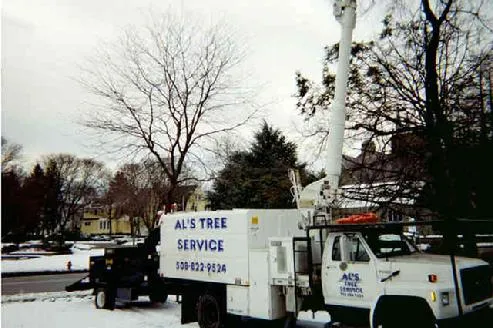 work photo from alstreeservice.com