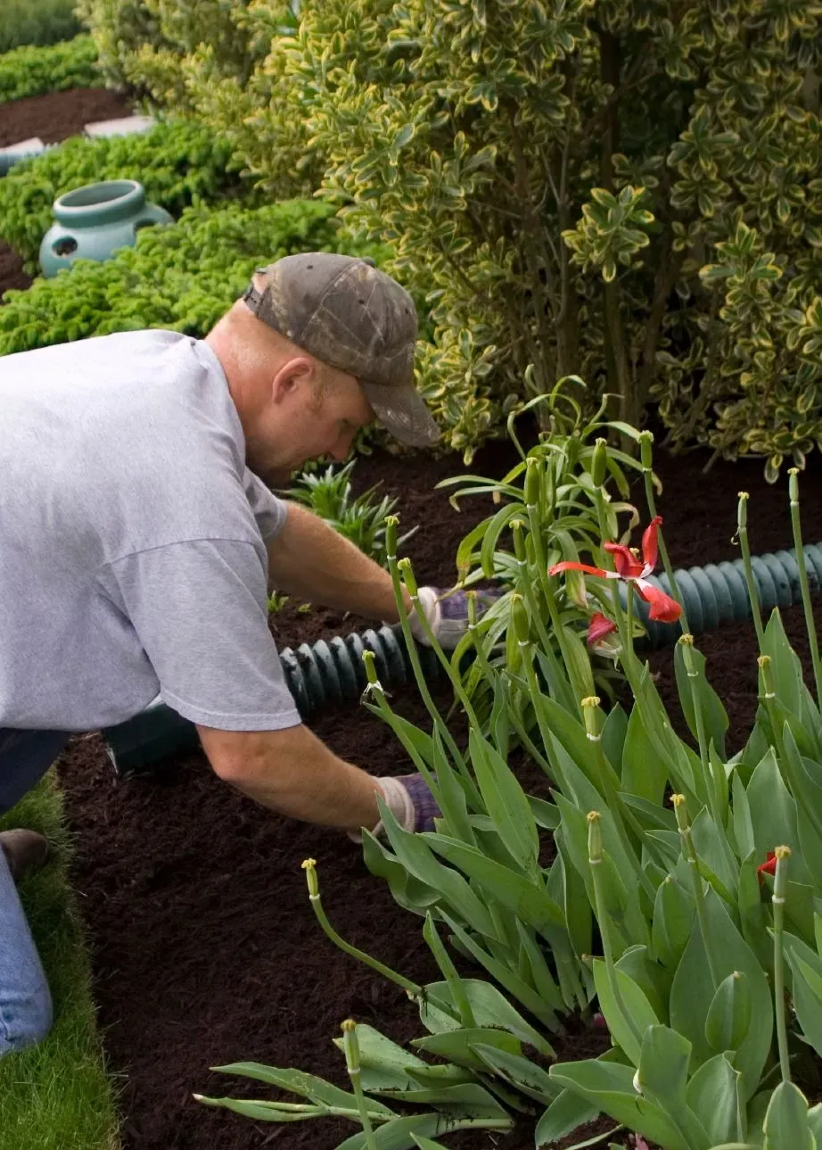 work photo from acelandscaping.com