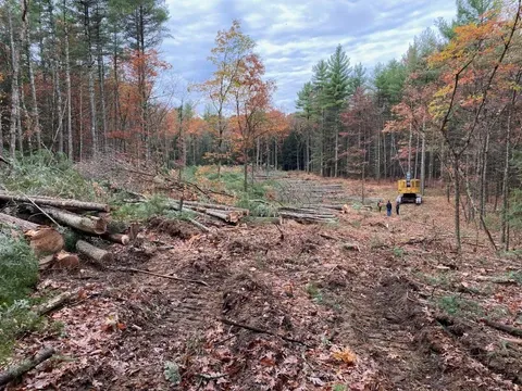 Hopkinton Forestry & Land Clr work photo