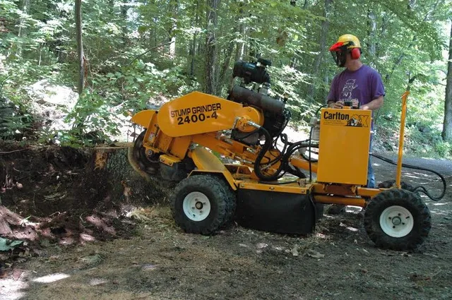 Eager Beaver Stump Grinding work photo