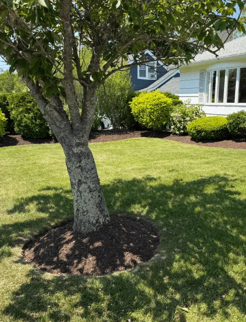 work photo from orteltlandscaping.com