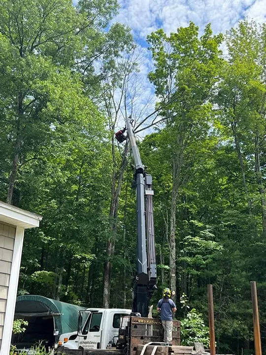 work photo from cespropertyservice.com