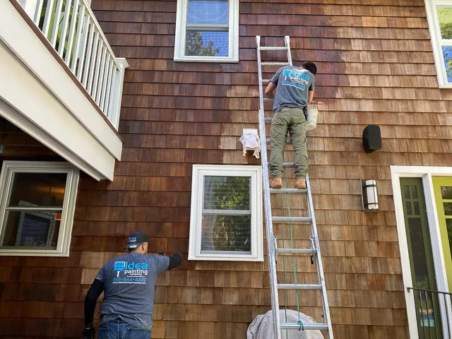Maximus Painters South Shore