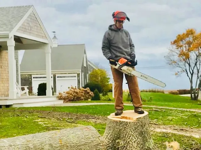 Treeworks work photo