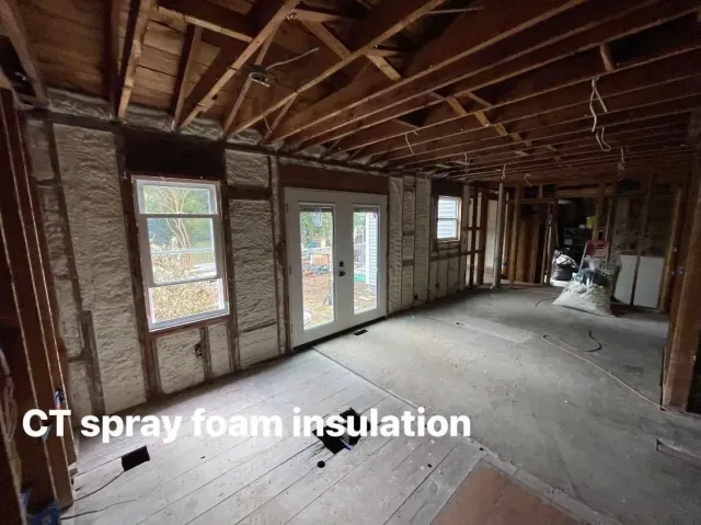 Interior view of a room with spray foam insulation on the walls, windows, and french doors in place, wood beams exposed.