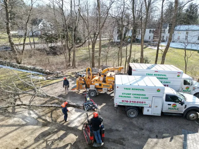 work photo from mapletreeservices.net