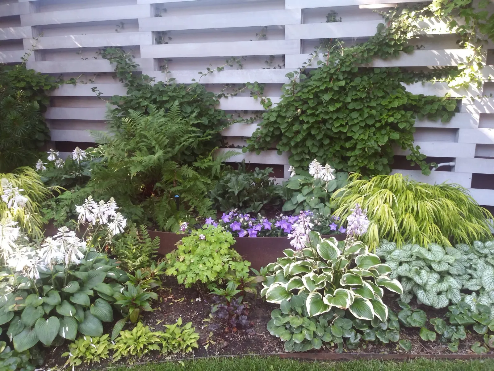 20190820_093903.jpg