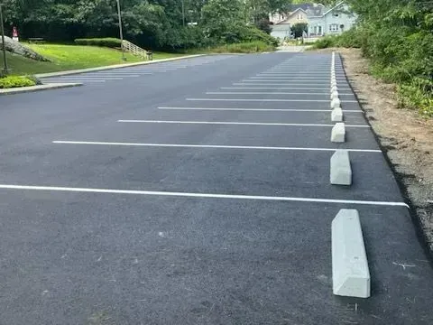 Empty asphalt parking lot with white lines, concrete parking stops, and surrounding greenery.