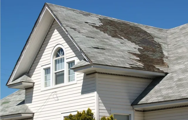 professional roof master repair metals