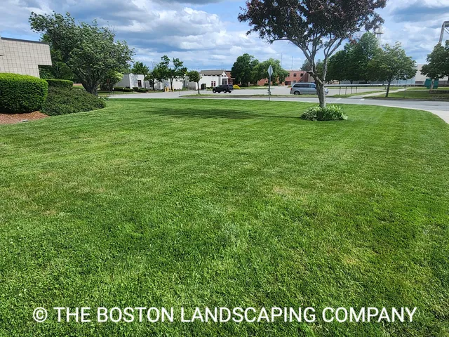 work photo from thebostonlandscapingcompany.com