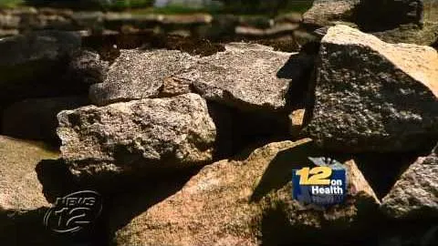 ORGANIC Tick Control - Pet & Kids Safe - GreenSprays on News 12